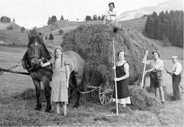 Heuernte früher Familie Lochbihler Anfang 20 Jhd. bei der Heuernte